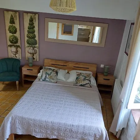 別荘 Le Logis Des Remparts A L'interieur De La Cite Medievale, Jardin Prive, Parking Inclus