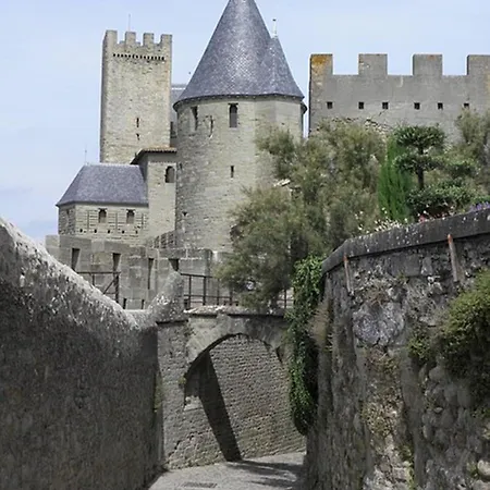 Le Logis Des Remparts A L'interieur De La Cite Medievale, Jardin Prive, Parking Inclus בית נופש
